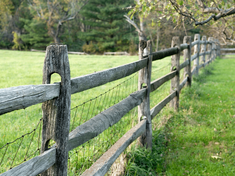 Farm fence Kingston